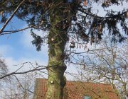 2016-03-26 10-58-57 IMG 6058  Grenene falder i stor hast